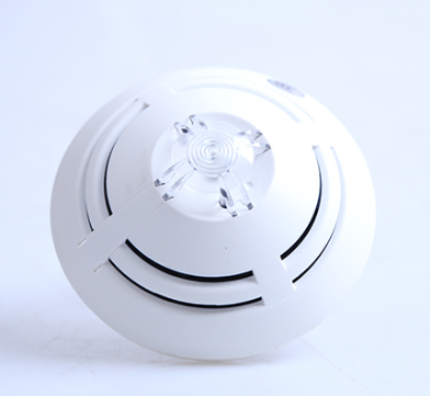 1768034147683000.png 1768034147683000.png