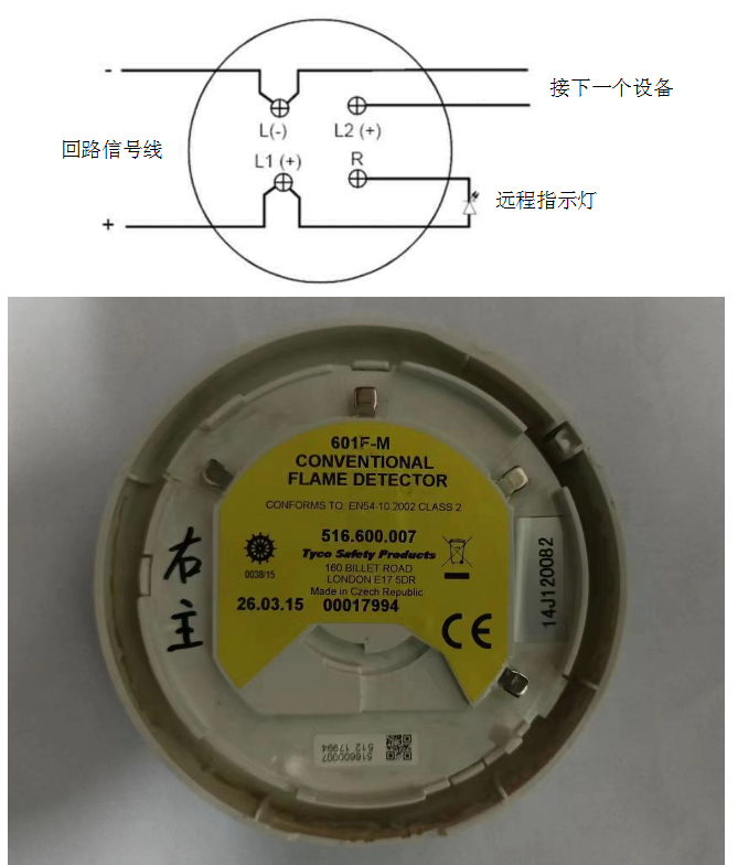 1768035528415293.png image.png